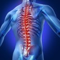 12353993 - human backache and back pain with an upper torso body skeleton showing the spine and vertebral column in red highlight as a medical health care concept for spinal surgery and therapy.